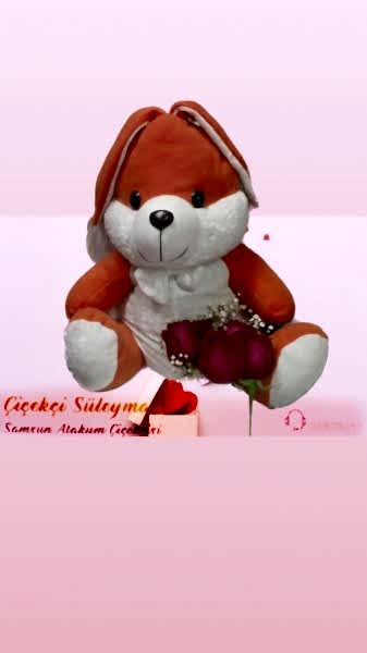 loveu tavsancık
