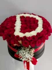 Kutuda harf