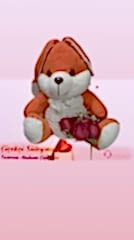 loveu tavsancık