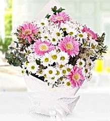 Papatya ve Gerbera Buketi