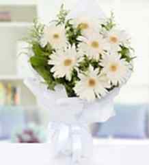 Beyaz Gerbera Buketi