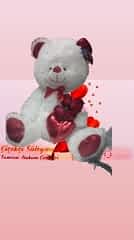 loveu ayıcık